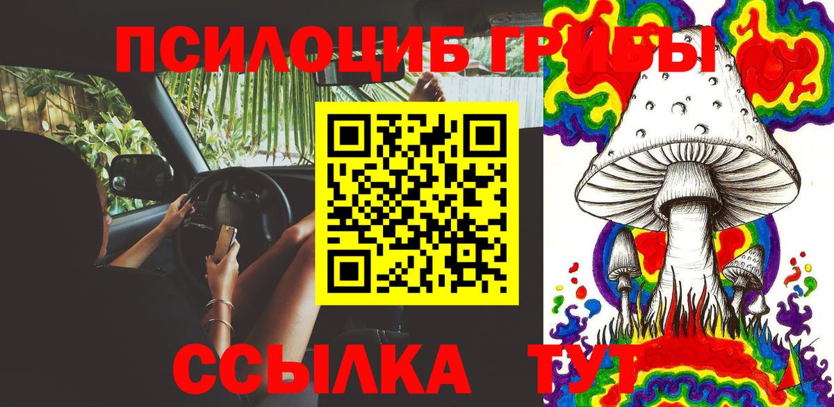 Псилоцибиновые грибы прущие грибы  Вход с VPN  Тулун 